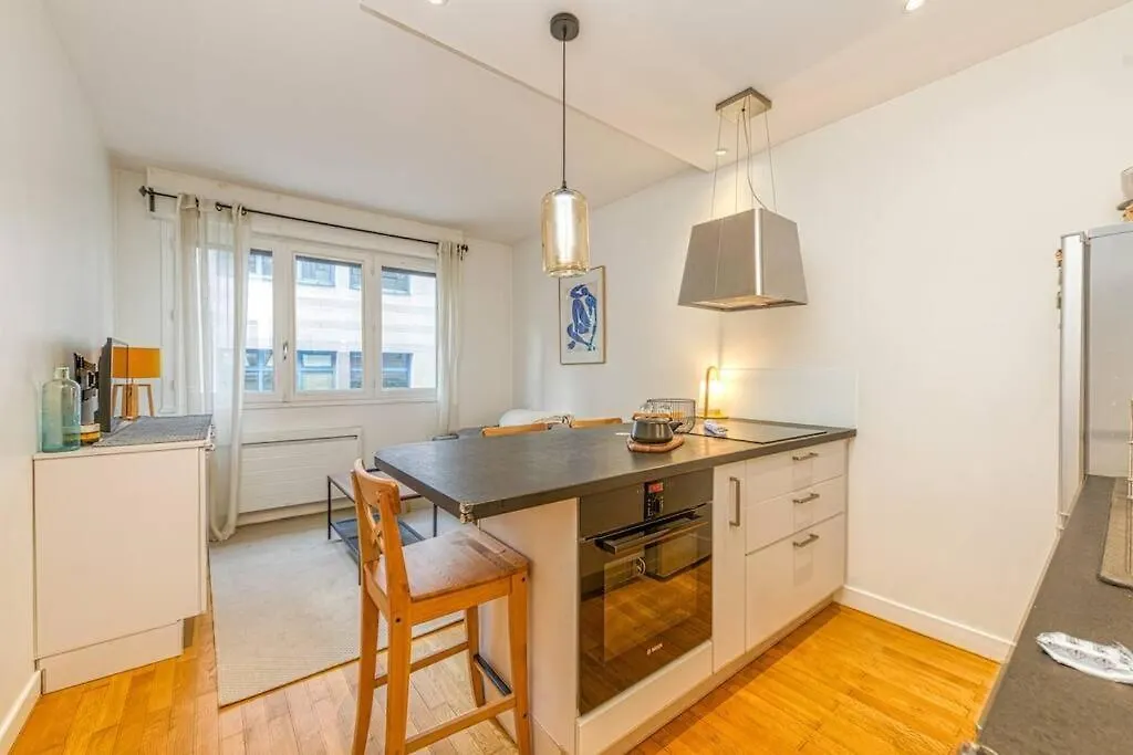 Apartment Centre Grenoble, Charmant, Avec Une Chambre France